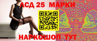 гидра Берёзовский