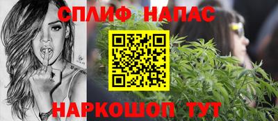 jwh Бийск