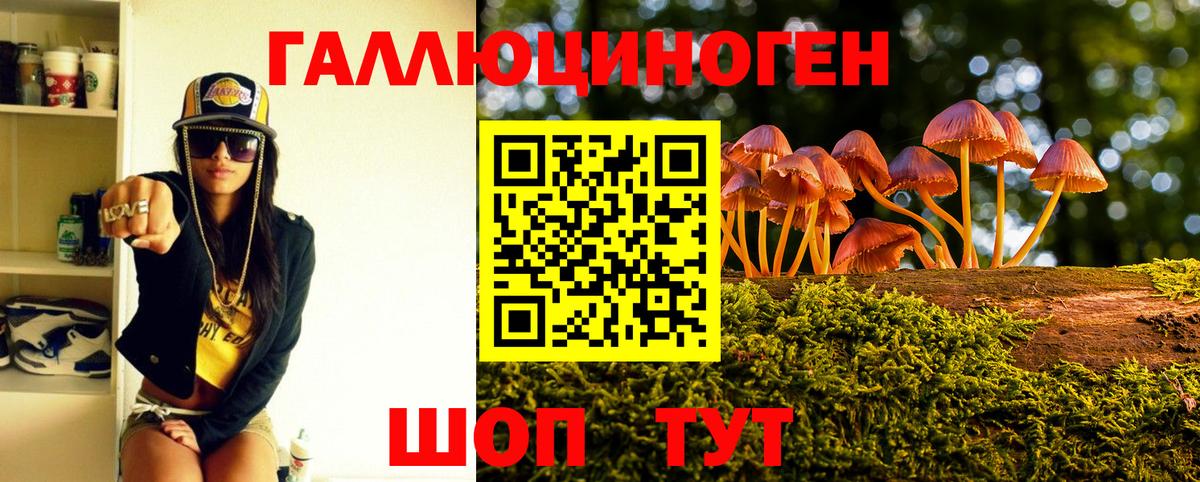 Галлюциногенные грибы Psilocybe Кисловодск