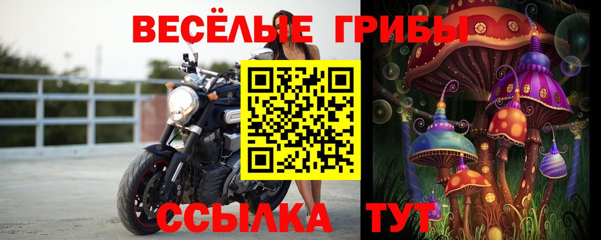 Псилоцибиновые грибы Magic Shrooms  Галлюциногенные грибы мицелий  Кисловодск  Вход с VPN 
