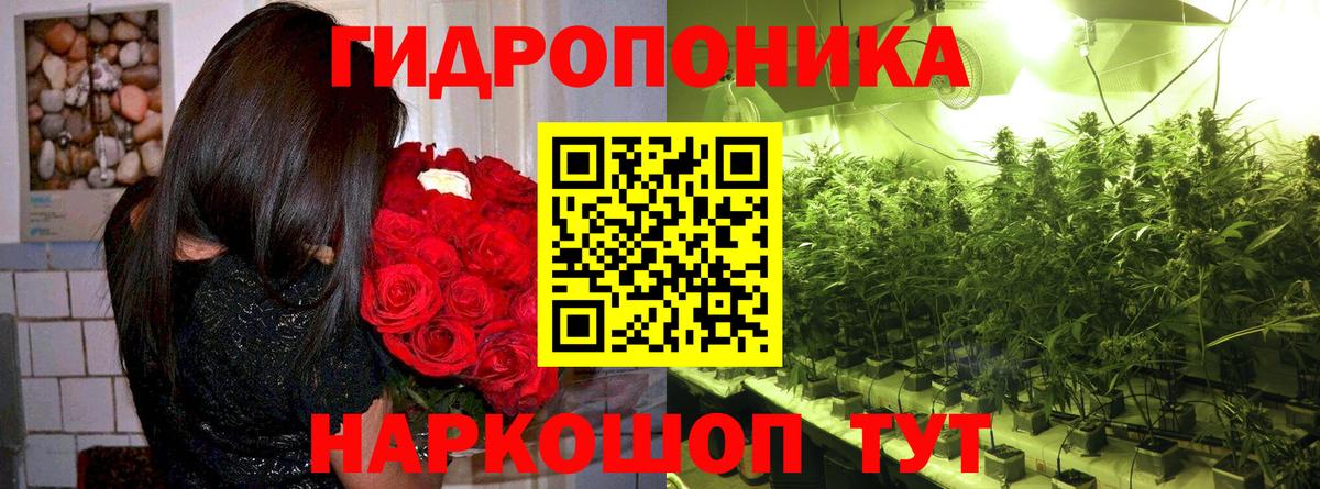 Конопля марихуана  Бошки марихуана Bruce Banner  Вход с VPN  Бошки марихуана план  Кисловодск 